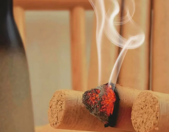 经络艾灸养生法：点燃身体里的健康之火