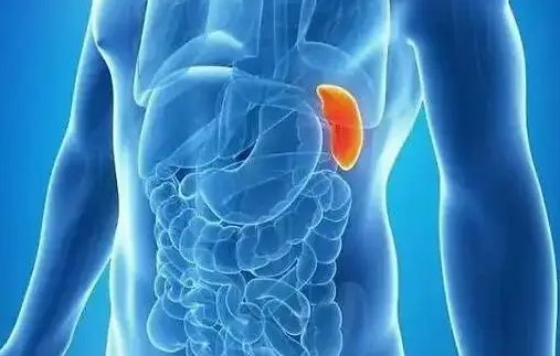 1761547050529199.png image.png