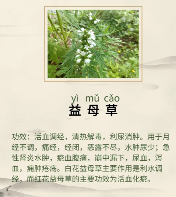 1761549606121352.png image.png