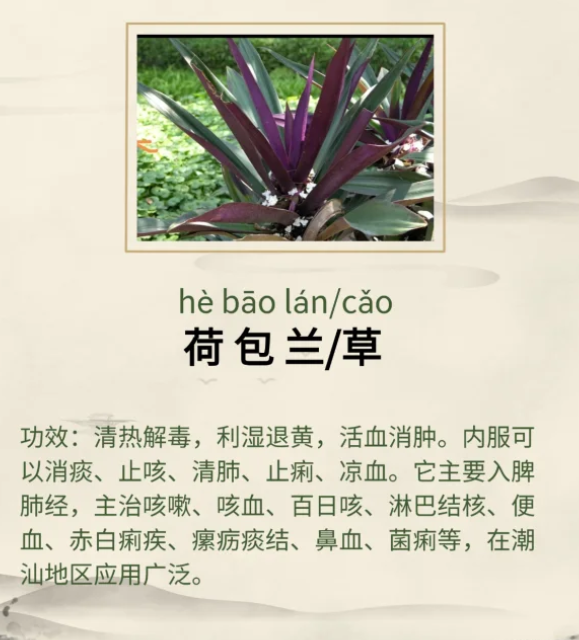 1761549638168268.png image.png