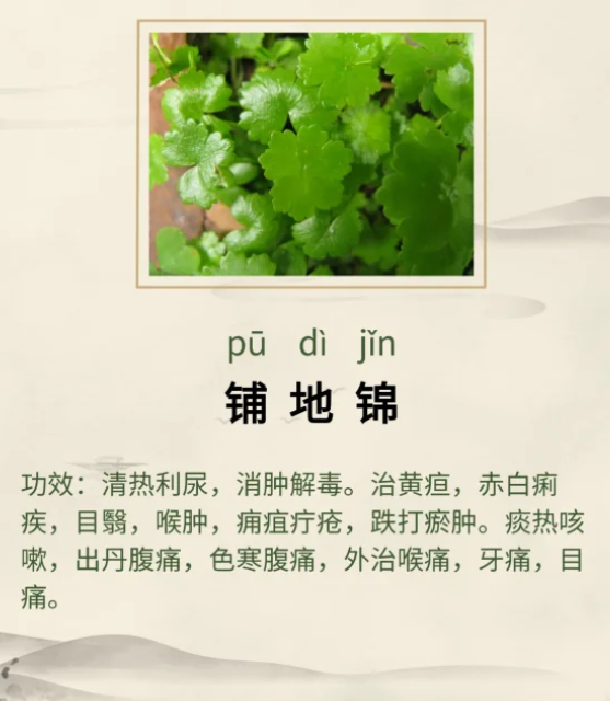 1761549752336507.png image.png