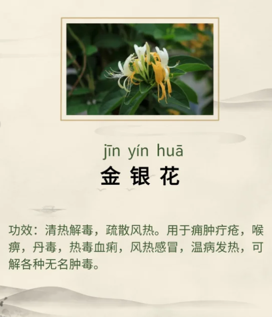 1761552419177851.png image.png