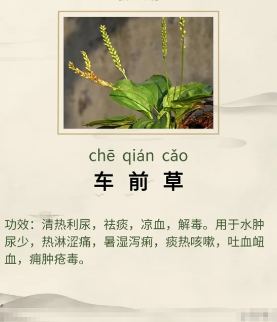 1761552824959449.png image.png