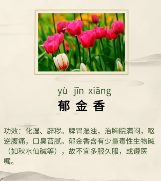 1761553123726039.png image.png