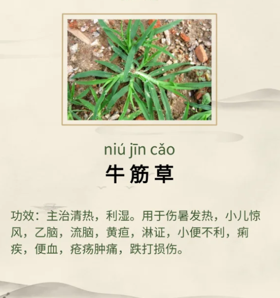 1761553366339049.png image.png